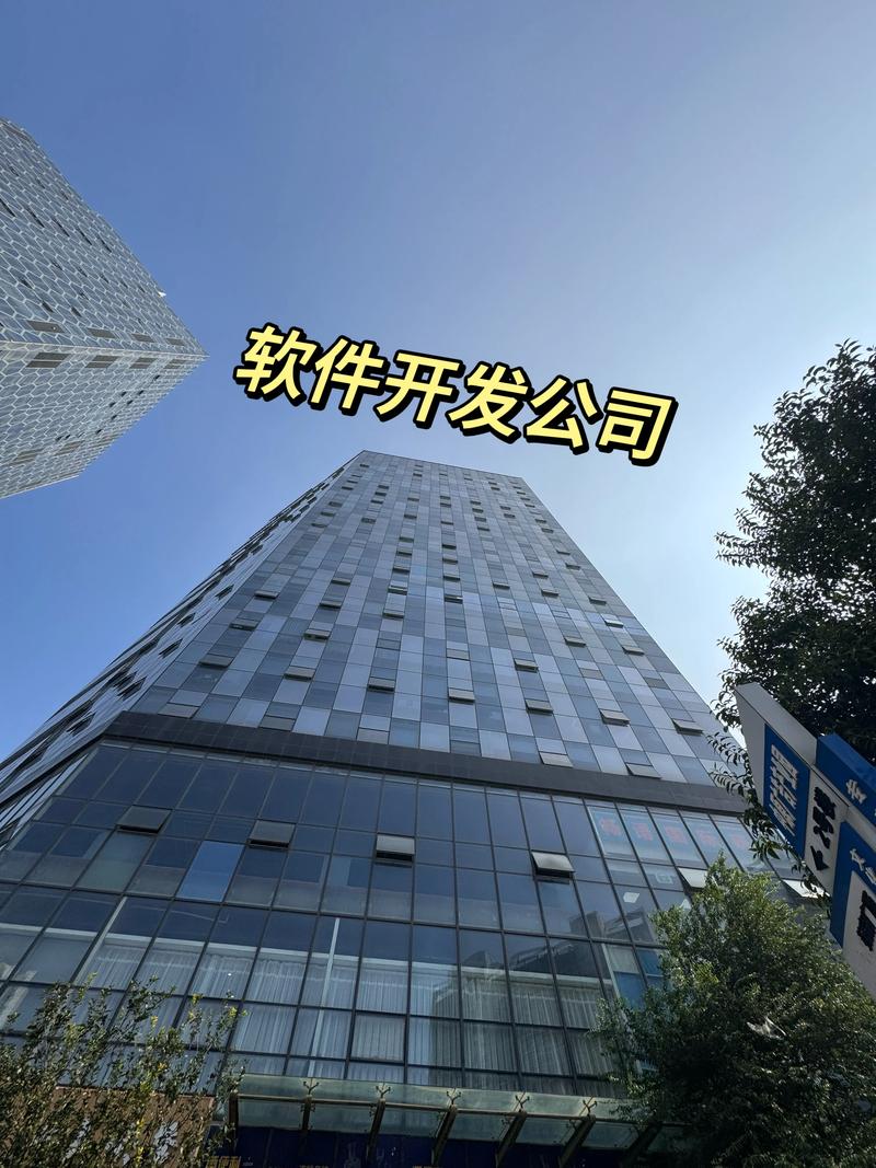 揭秘深圳软件开发背后的使用技巧